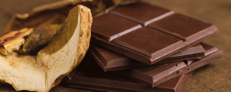 Why Should You Purchase Mushroom Chocolate Online This Season?
